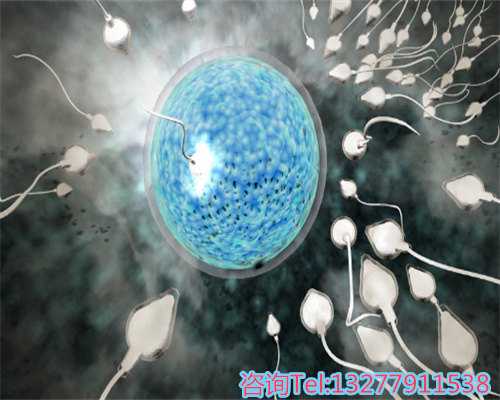 上海试管婴儿哪家医院好？这5家口碑好，真实成功率出炉